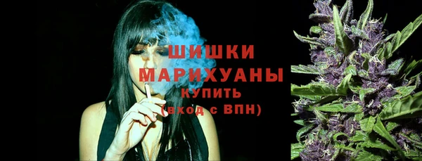 apvp Белокуриха