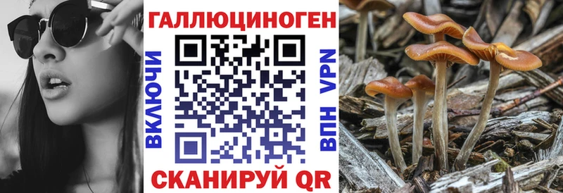 цены   Кандалакша  Галлюциногенные грибы MAGIC MUSHROOMS 