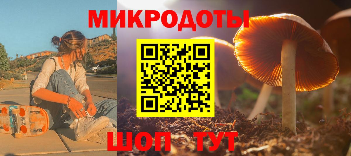 Псилоцибиновые грибы мухоморы Кандалакша