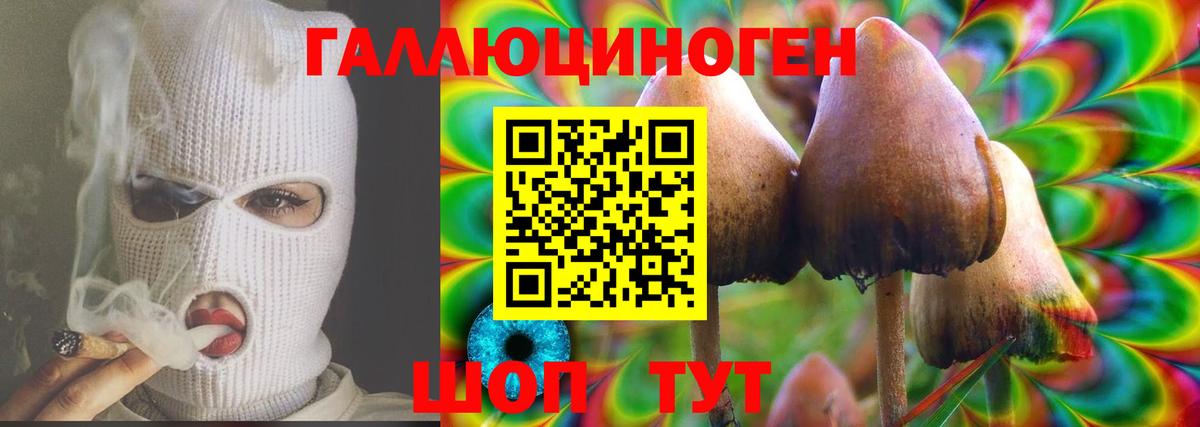 Кандалакша  Галлюциногенные грибы MAGIC MUSHROOMS  Псилоцибиновые грибы прущие грибы  Вход с VPN 