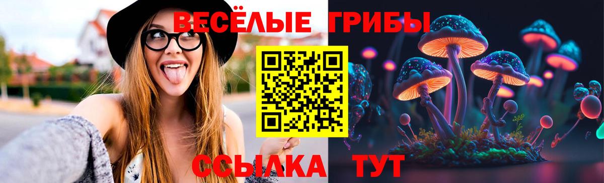 Галлюциногенные грибы Magic Shrooms  Кандалакша  Псилоцибиновые грибы Magic Shrooms 