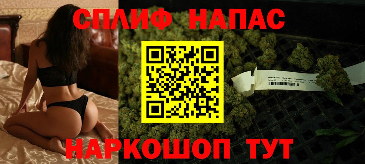 Кандалакша  Бошки Шишки тримм  Вход с VPN  Бошки Шишки ГИДРОПОН 